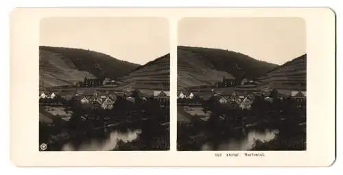 Stereo-Fotografie NPG, Berlin, Ansicht Mariental, Blick zum Ort im Ahrtal