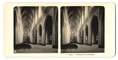 Stereo-Fotografie NPG, Berlin, Ansicht Anvers, Interieur de la Cathedrale