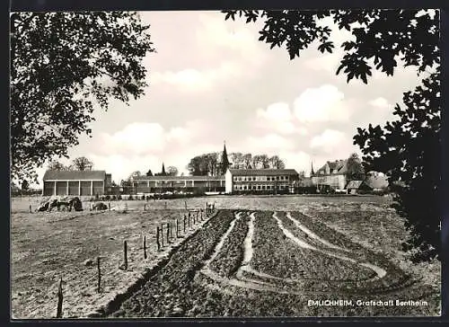 AK Emlichheim /Grafschaft Bentheim, Blick über Äcker auf den Ort