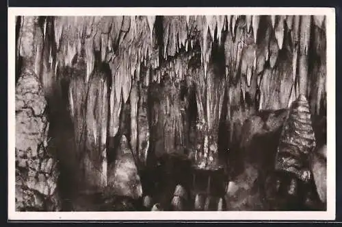 AK Dar-El-Oued, Grotte merveilleuse, L`Intérieur