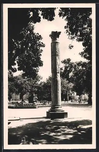 AK Cherchell, Colonne Romaine