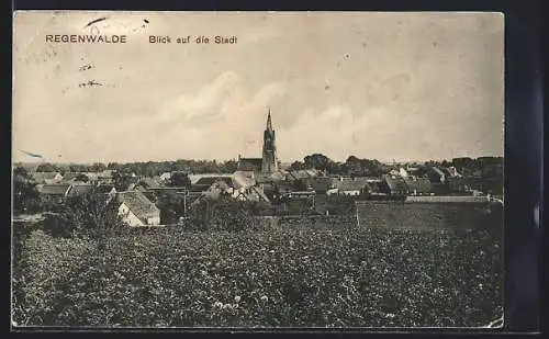 AK Regenwalde, Blick auf den Ort