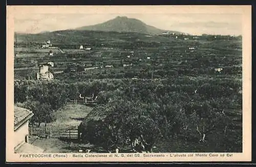 AK Frattocchie /Roma, Badia Cisterciense, L`oliveto col Monte Cavo ad Est