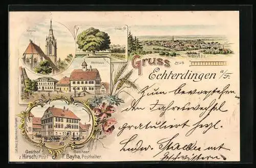 Lithographie Echterdingen a. F., Gasthof z. Hirsch, Bes. F. Bayha, Rathaus, Linde