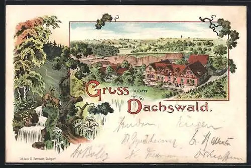 Lithographie Vaihingen /Fildern, Gasthof Dachswald, Wasserfall