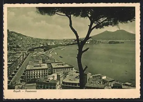 AK Napoli, Panorama mit Baum