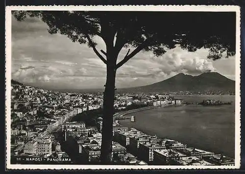 AK Napoli, Panorama mit Baum