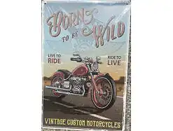 Born to be wild Vintage Motorcycle Motorrad Schild 30x20 70007