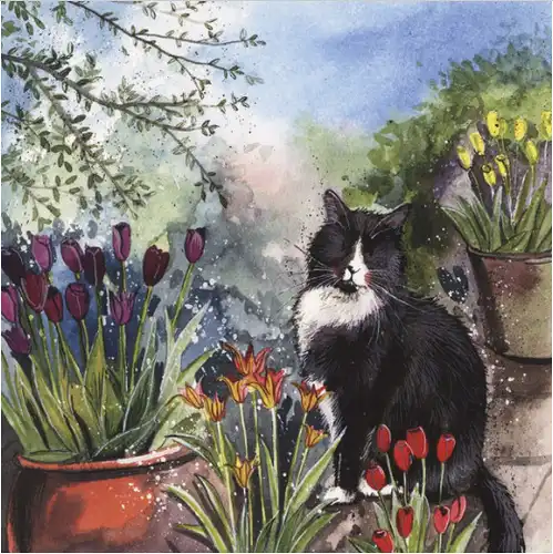 Alex Clark Karte Katze und Tulpen 140x140 mm incl. Umschlag  0033