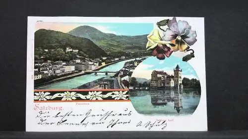 Salzburg Panoram Schloss Anif Edelweiß JW 165759