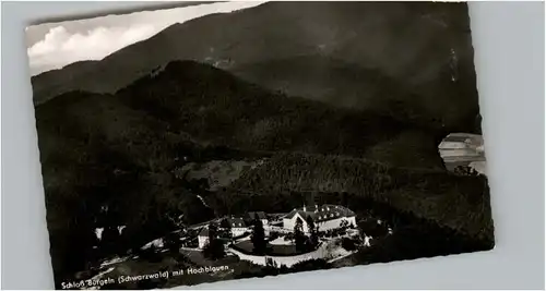 Schloss Buergeln Schloss Buergeln Fliegeraufnahme * / Kandern /Loerrach LKR