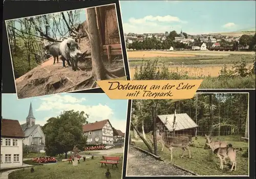 Dodenau Eder Battenberg Tierpark x