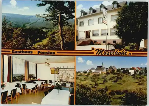 Liesenich Pension Moselhoehe Werbekarte *