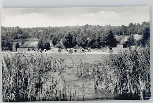 Knappensee Oberlausitz Badestrand * / Lohsa /Bautzen LKR