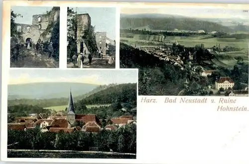 Neustadt Harz Ruine Hohnstein *