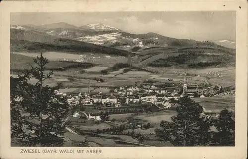 Zwieselberg Bayern Arber / Zwiesel /Regen LKR