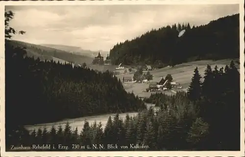 Rehefeld-Zaunhaus  / Altenberg /Saechsische Schweiz-Osterzgebirge LKR