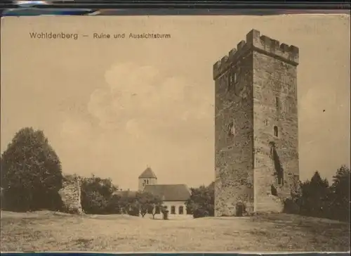 Sillium Wohldenberg Ruine Aussichtsturm *