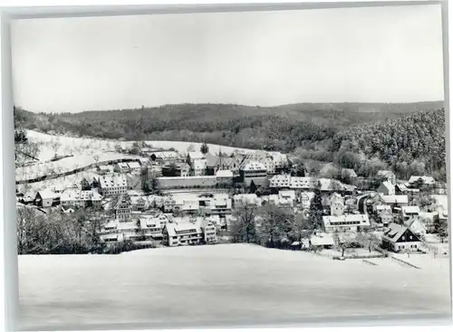 Bebenhausen Tuebingen Kloster *