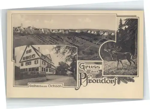 Pfrondorf Tuebingen Gasthaus zum Ochsen Hirsch *