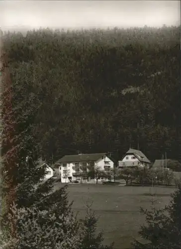 Schoenegruend Gasthaus Loewen *