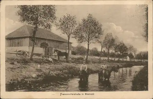 Blamont Meurthe-et-Moselle Blamont Pferd Fremonvillerstrasse x