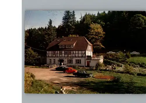 Neuhaus Solling Hotel Alte Muehle / Holzminden /Holzminden LKR