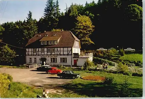 Neuhaus Solling Hotel Alte Muehle / Holzminden /Holzminden LKR