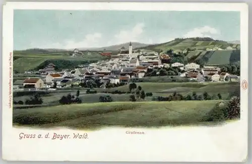 Grafenau Niederbayern Grafenau Niederbayern  ungelaufen ca. 1900 / Grafenau /Freyung-Grafenau LKR