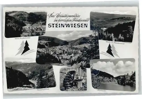 Steinwiesen  x