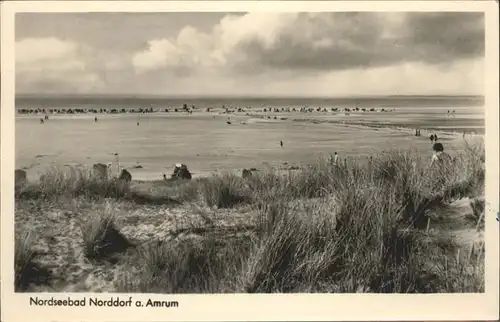 Norddorf Amrum  / Norddorf /Nordfriesland LKR