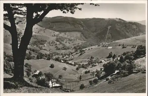 Wieden Schwarzwald  *