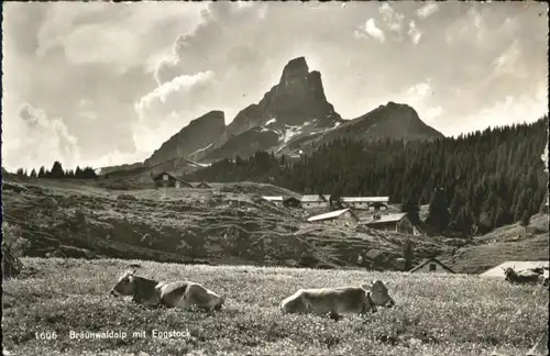 Braunwald GL Braunwald Eggstock Kuh x / Braunwald /Bz. Glarus