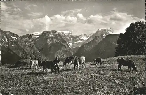 Braunwald GL Braunwald Glarus Selnsanft Bifertenstock Toedi x / Braunwald /Bz. Glarus