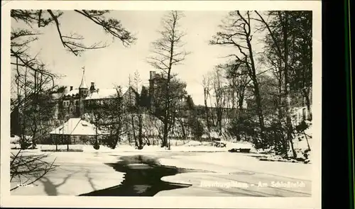 Ilsenburg Am Schlossteich im Winter Kat. Ilsenburg Harz