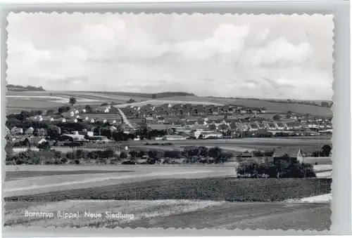 Barntrup Neue Siedlung *