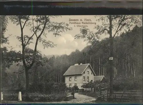 Seesen Harz Seesen Forsthaus Neckelnberg * / Seesen /Goslar LKR