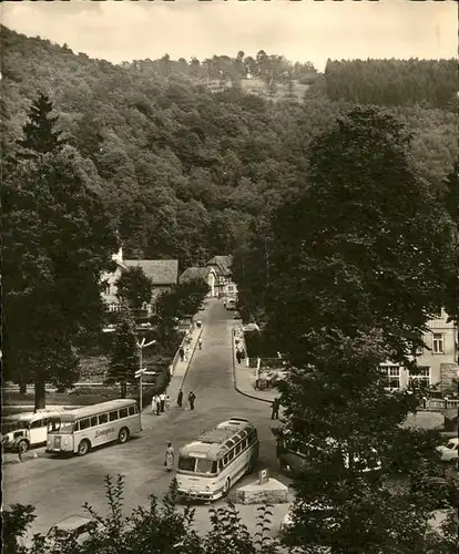 Treseburg Bodenbruecke Buse Kat. Treseburg