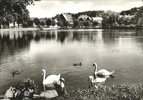 Ilsenburg Am Forellenteich Kat. Ilsenburg Harz