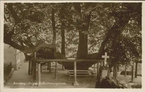 Annaberg-Buchholz Auferstehungslinde Kreuz *