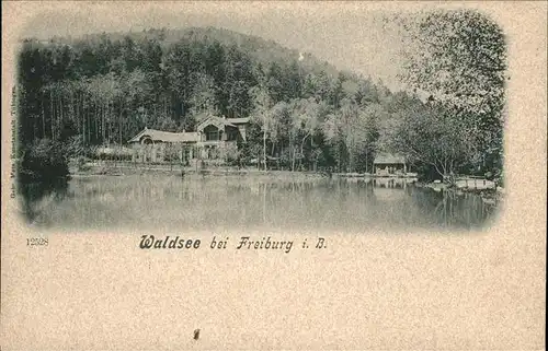 Freiburg Breisgau Waldsee Kat. Freiburg im Breisgau