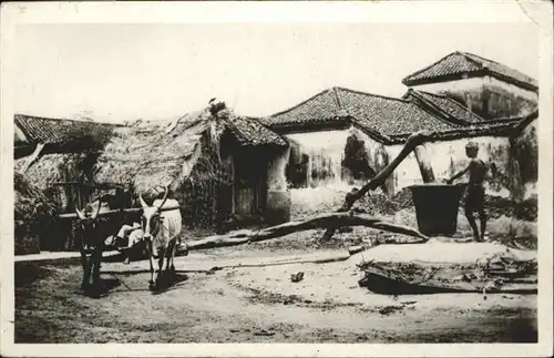 Cambodge Moulin a Huile / Vietnam /