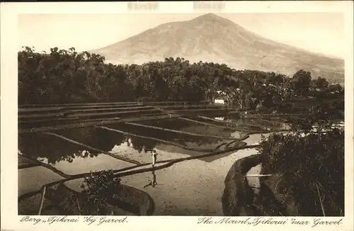 Garoet Mount Tjikorai / Indonesien /