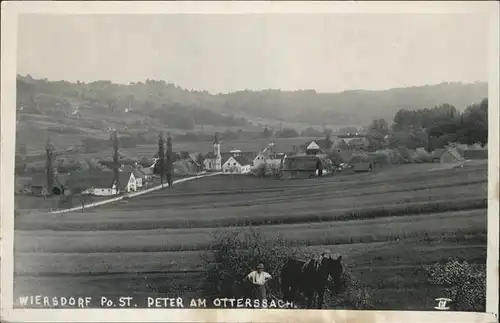 St Peter Ottersbach Bauer Pferd Kat. Radkersburg Umgebung