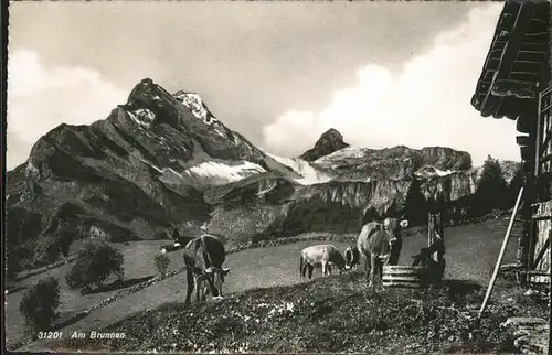 Braunwald GL Am Brunnen Rinder Kat. Braunwald