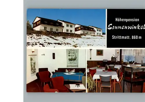 Strittmatt Pension Sonnenwinkel / Goerwihl /Waldshut LKR