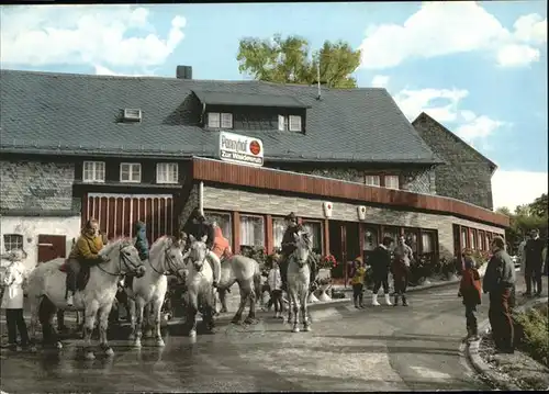 Bergenhausen Hunsrueck Pension Ponnyhof Kat. Bergenhausen