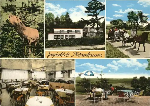 Pleizenhausen Restaurant Jagdschloss Kat. Pleizenhausen