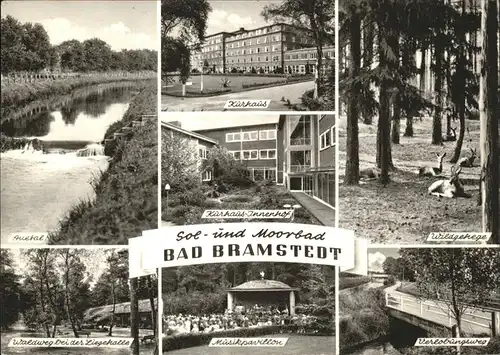 Bad Bramstedt Kurhausinnenhof Wildgehege Musikpavillon  Kat. Bad Bramstedt