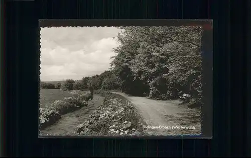 Buedingen Westerwald Erbach / Nistertal /Westerwaldkreis LKR